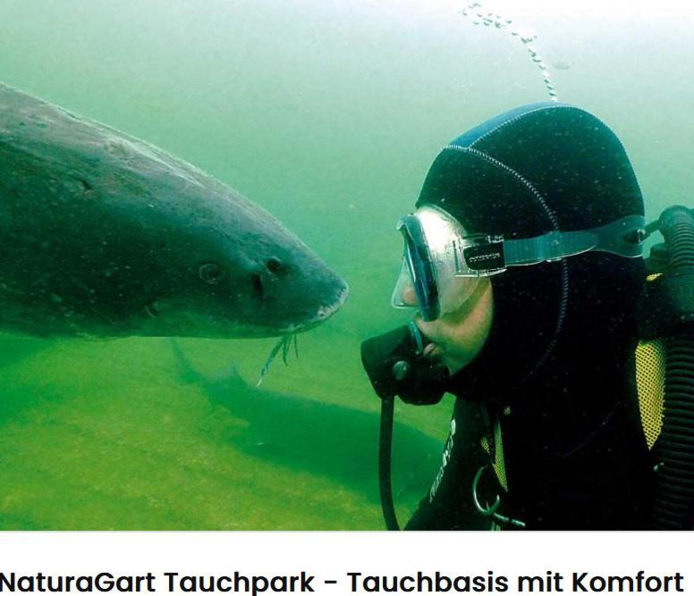 Alte Seester Schule Westerkappeln Luaran gambar
